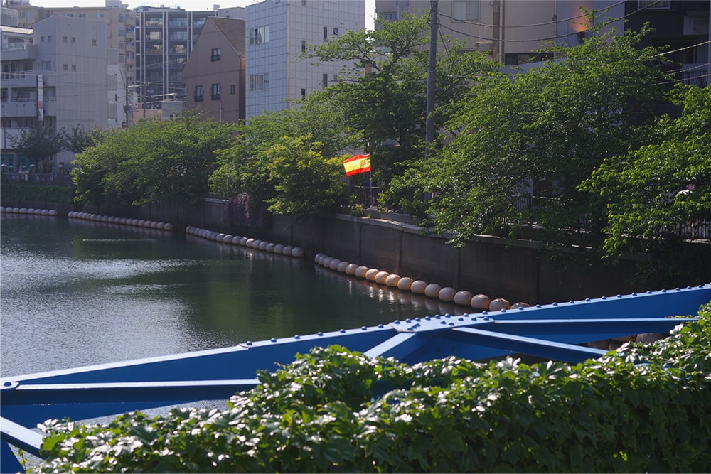 ilF6.3AVb^[x1/400AIo␳-0.3A摜dグiAISOx200AzCgoX I[gWB