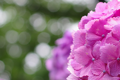 HD PENTAX-FA 43mmF1.9 Limited