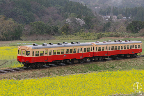 œ_ 70mm(35mmZ 108mm)i@F8.0Vb^[Xs[h@1/1000bIo␳@-0.3ISOx@4000zCgoX@AWB摜d@ق̂