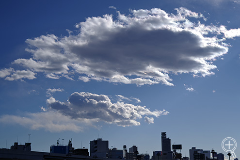 œ_ 40mm(35mmZ 61mm)i@F7.1Vb^[Xs[h@1/2000bIo␳@-0.7ISOx@100zCgoX@AWB摜d@i