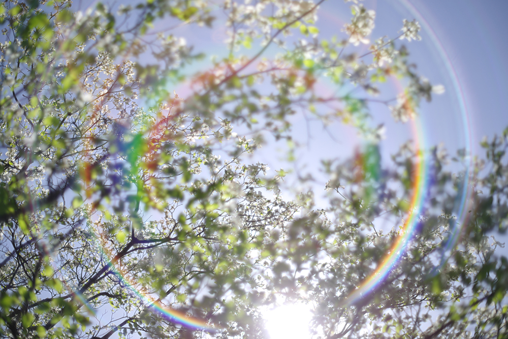 JX^C[Wi`AiF1.4AVb^[x1/6400bAIo␳+1.3AISOx100AAWBAtW␳