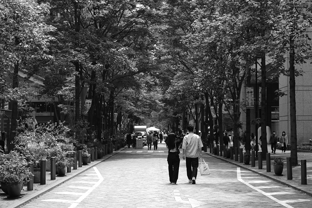 JX^C[WX^_[hAiF4.5AVb^[x1/320bAIo␳-0.3AISOx200
