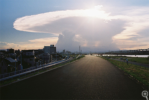 ASAHI PENTAX KM@F11@KodakJ[vX200