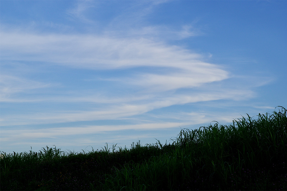 œ_ 50mm/o[TtB/F7.1/Vb^[x 1/800b/ISOx400/AWB
