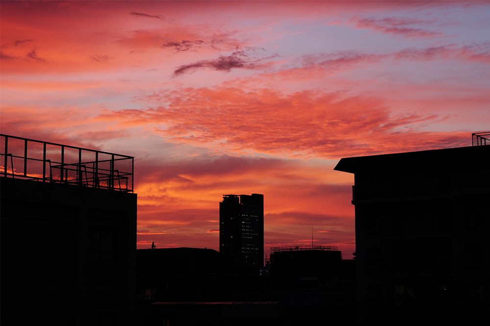 œ_ 50mm/o[TtB/F5.6/Vb^[x 1/160b/Io␳-0.7/ISOx800/AWB