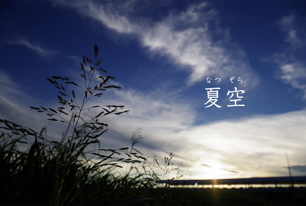 WY[PENTAXҖ]̐VX^[Y HD PENTAX-DA16-50mmF2.8ED PLM AW ŉċBe