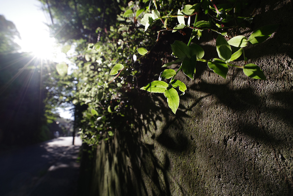 œ_ 16mm / i` / F5.6 / Vb^[x 1/200b / Io␳-1.0 / ISOx100 / AWB