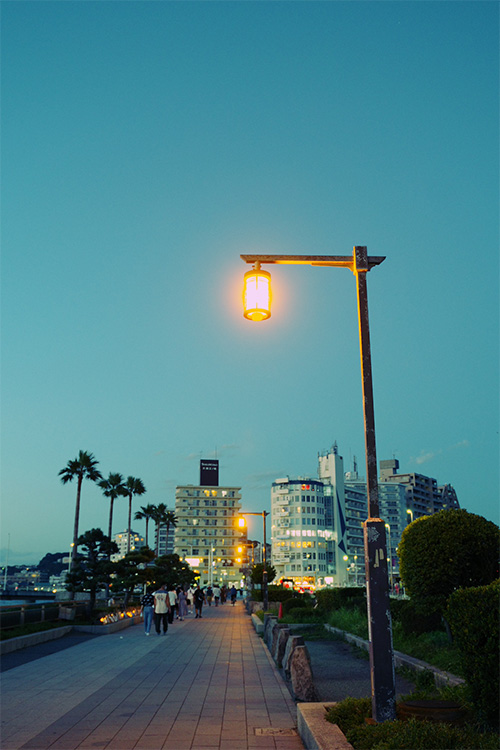 œ_ 21.9mm / NXvZX / F2.8 / Vb^[x 1/80b / Io␳-0.7 / ISOx800 / AWB