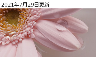 ŉB肽łHXC[cHANZT[H͂߂Ẵ~[XJɂ PEN E-PL10