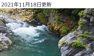 gbLOɂ߃JIIpX OM-D E-M5 Mark IIIʃr[
