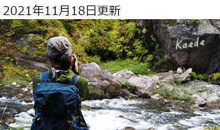 OM-D E-M5 MarkIIIŐgyɏ߂ẴtHggbLOwŕҁx