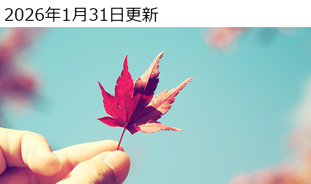 �~���[���X�J���� OM SYSTEM OM-5 MarkII ���ʃ��r���[