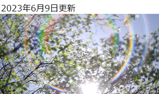 y^bNX smc PENTAX-FA 50mmF1.4 Classic ʃr[