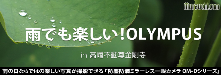 J̓Beɂ߁IhohH~[XJ OLYMPUS OM-DV[Y 