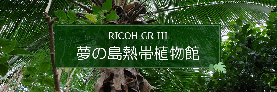 ̓MѐAق2020NnEBCxgIRICOH GR III ʃr[ ͂NbN 