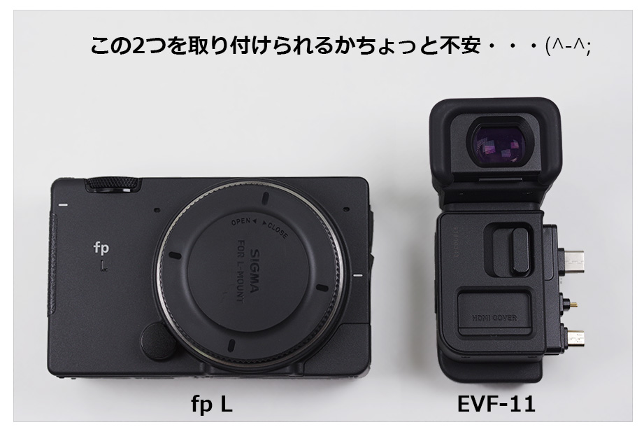 fp LEVF-11B{ɂH