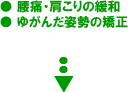 ɁE̊ɘaE䂪񂾎p̋