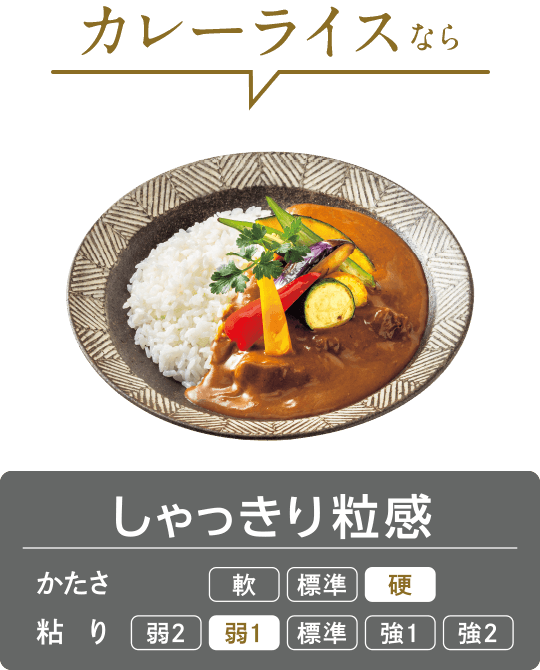 J[CXȂ炵藱