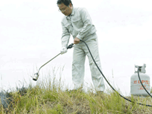 ���Ă��ɂ������߁I