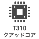 T310NAbhRA