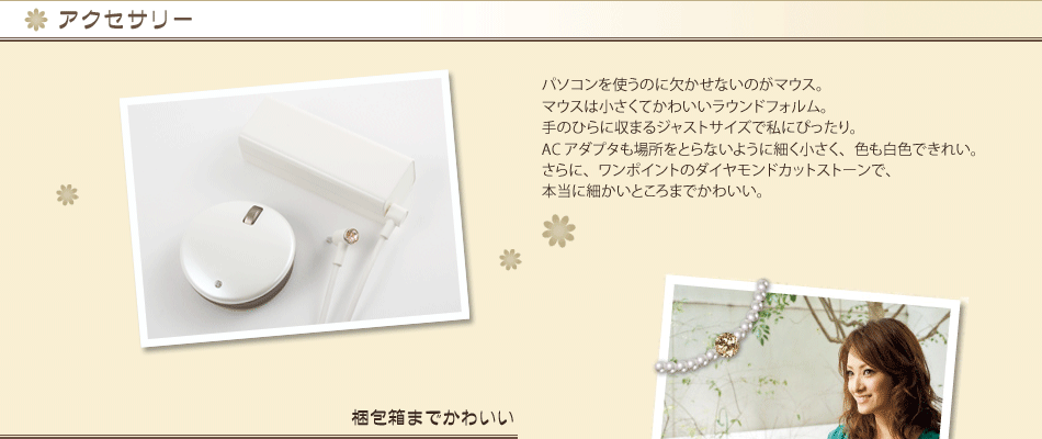 �A�N�Z�T���[