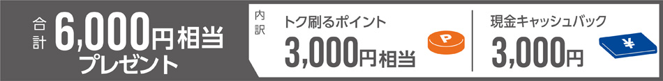 v6,000~v[g