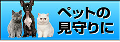 ペットの見守りに