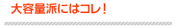 大容量派にはコレ！