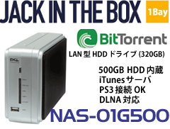 NAS-01G500