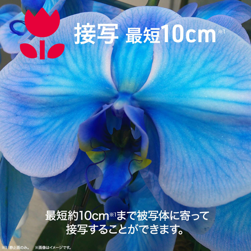 �ڎʍŒZ��10cm