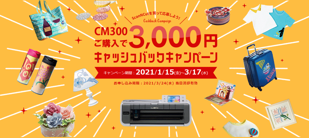 CM300w3,000~LbVobNLy[