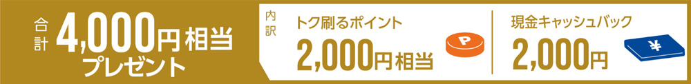 v4,000~v[gΏېi