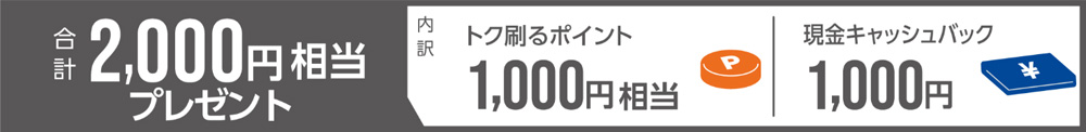 v2,000~v[gΏېi