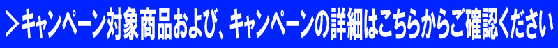 Ly[ΏۏiсALy[̏ڍׂ͂炩炲mF