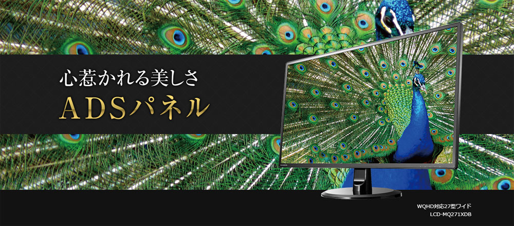 S䂩 ADSpl