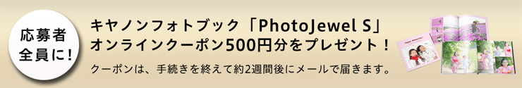 ґSɃLmtHgubNuPhotoJewel SvICN[|500~v[g