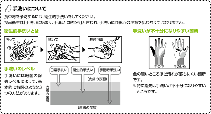 手洗いについて