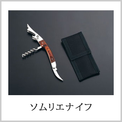 \GiCt