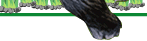 手