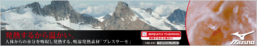���M���邩�牷�����B�z�����M�f�ށu�u���X�T�[���v
