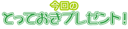 ̂ƂĂv[gI